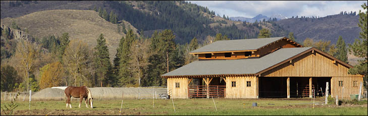 new barn and horse grazing nearby