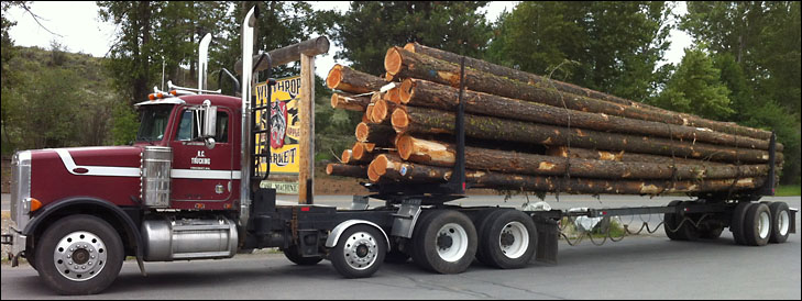 photo of full log truck