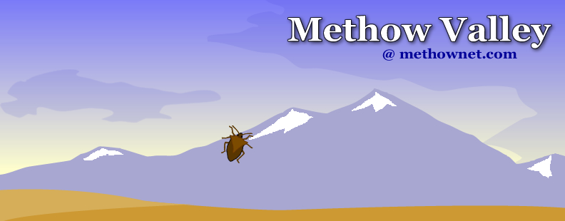 Methownet.com
